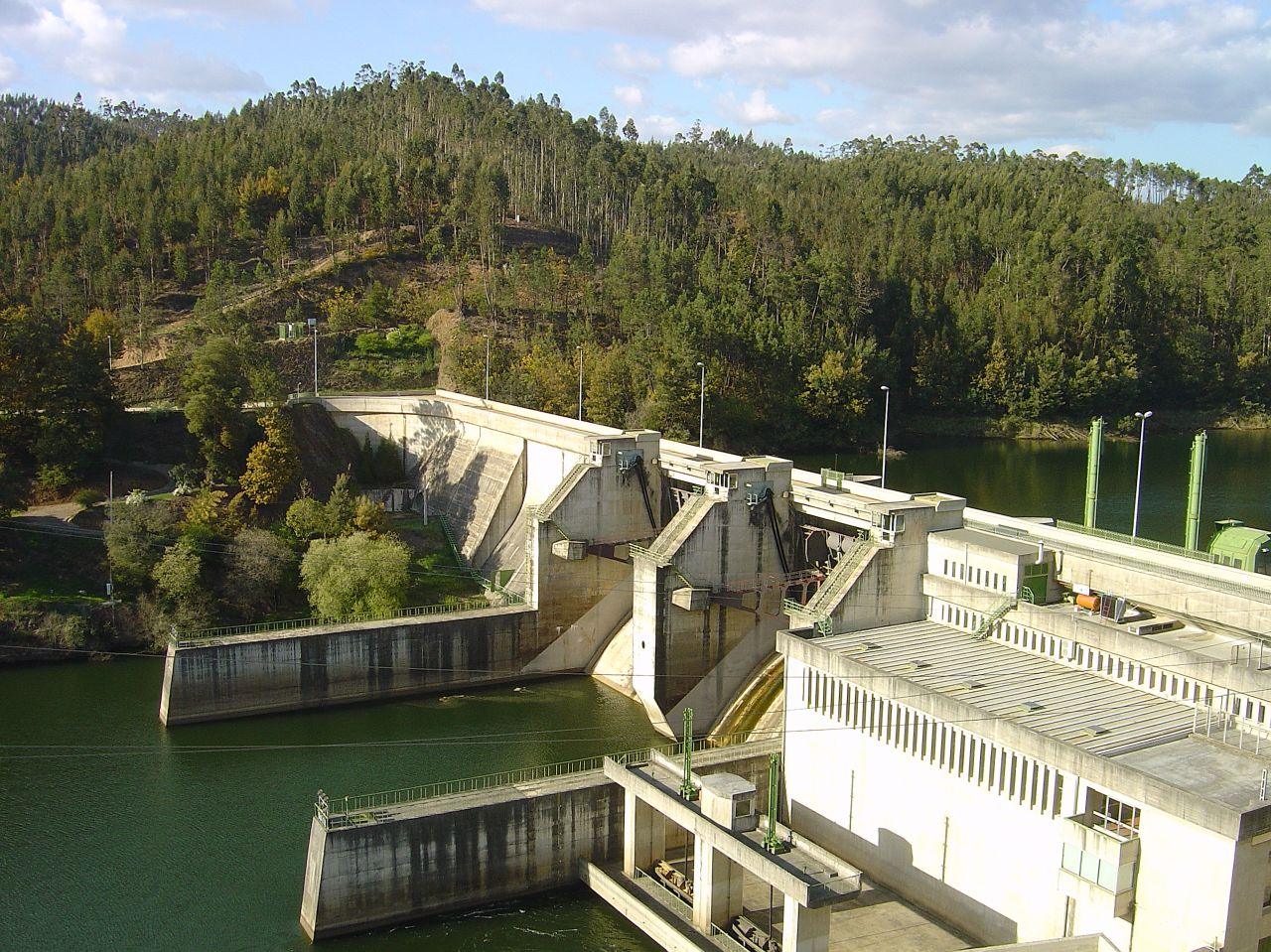 Raiva